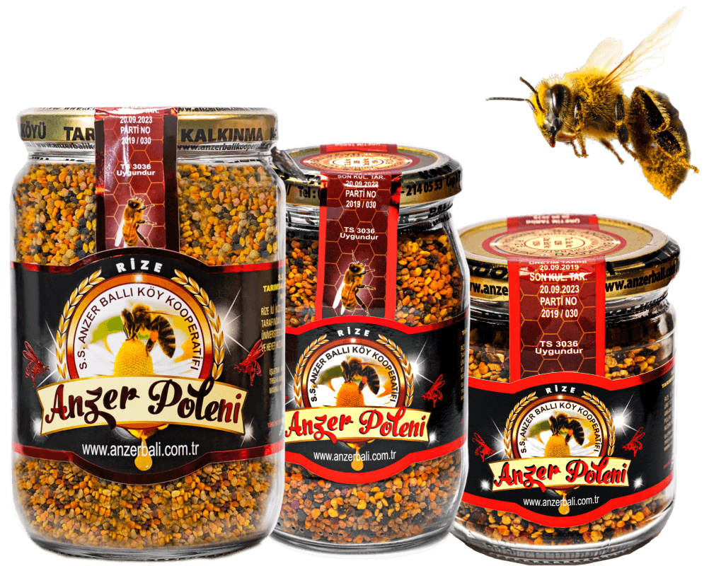 slayt-anzer-ari-poleni-1000x800-1.png (336 KB)