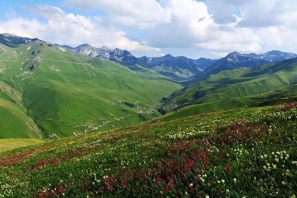 anzer (7).jpg (111 KB)